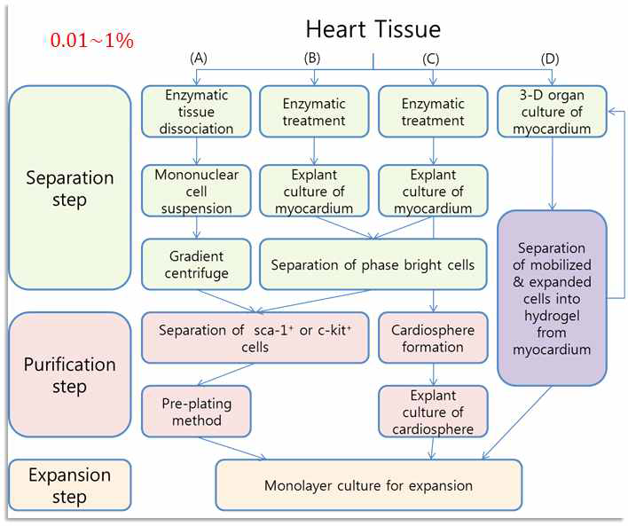 Various proposed system for isolation of endogenous cardiac stem cells resided in postnatal heart