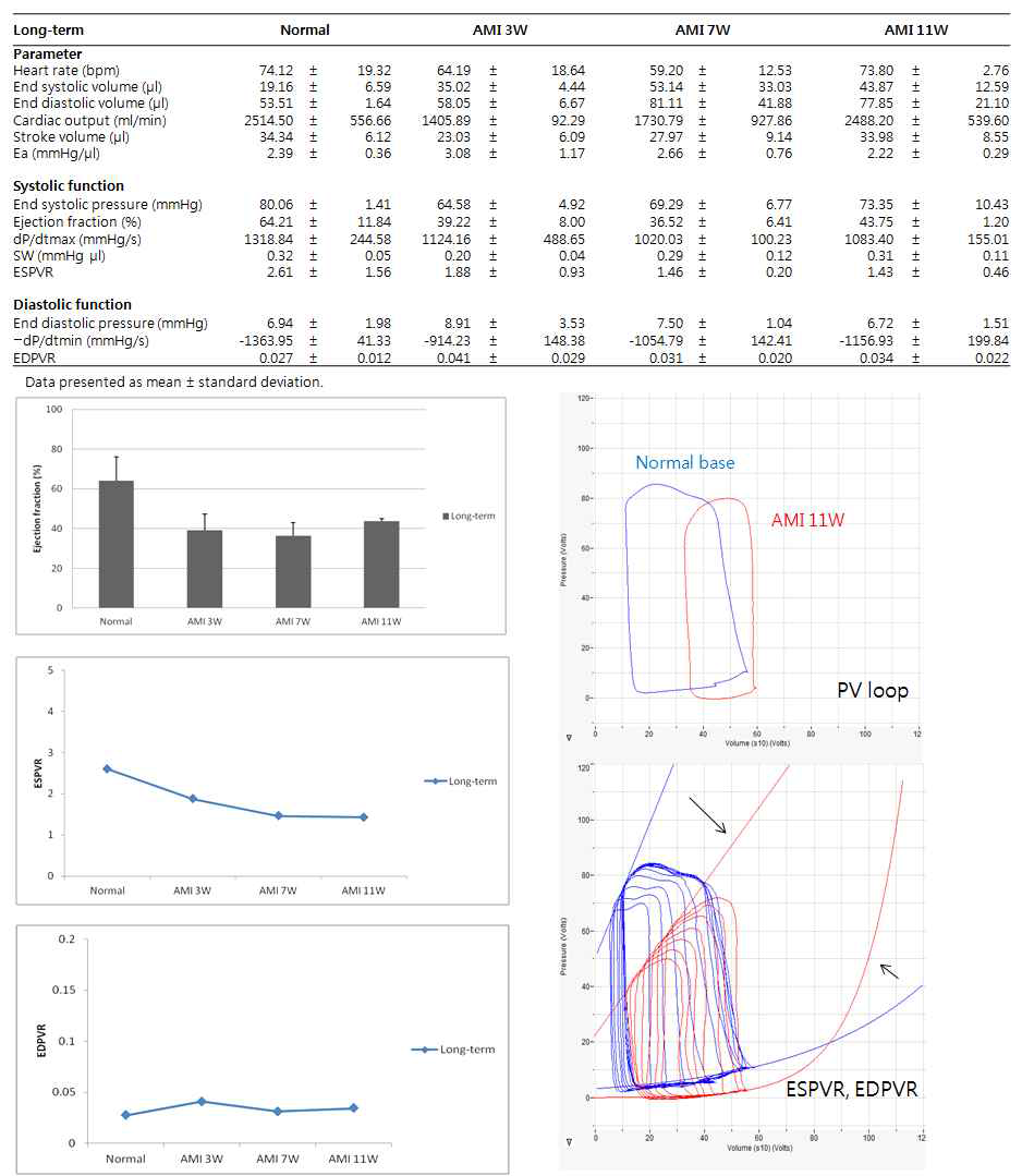 급성 심근경색 모델을 통한 PV loop analysis의 장기 추적 검사 (12주)
