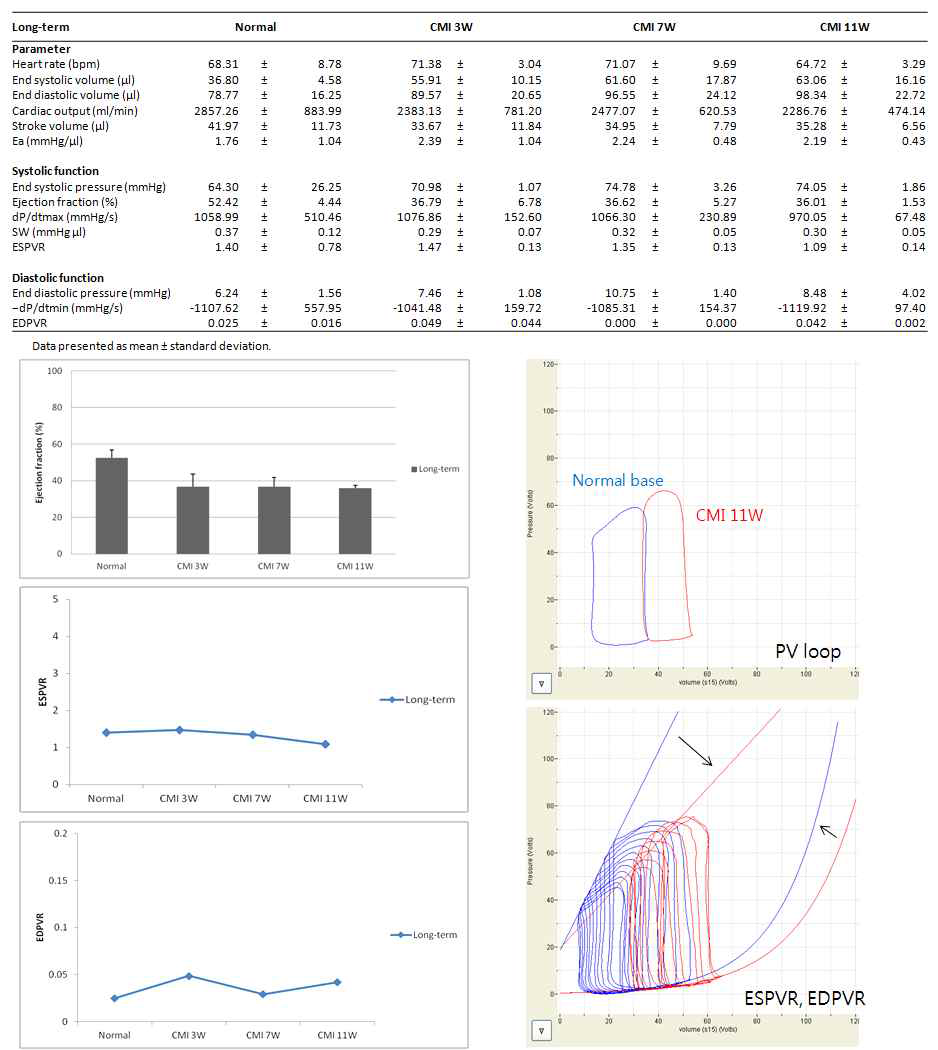 만성 심부전 모델을 통한 PV loop analysis의 장기 추적 검사 (12주)