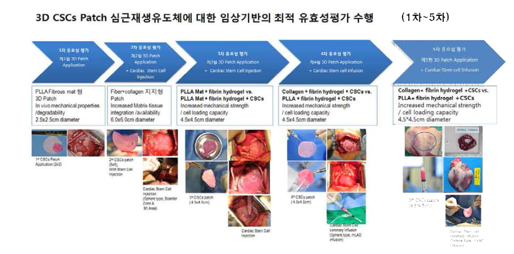 연차별 심근재생유도체에 대한 임상지표기반 유효성평가 수행