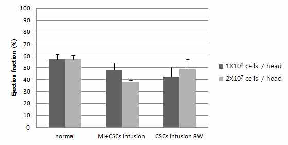 CSCs 투여 용량 및 질환모델에 따른 EF(%)의 변화량