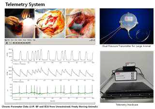 Telemetry system