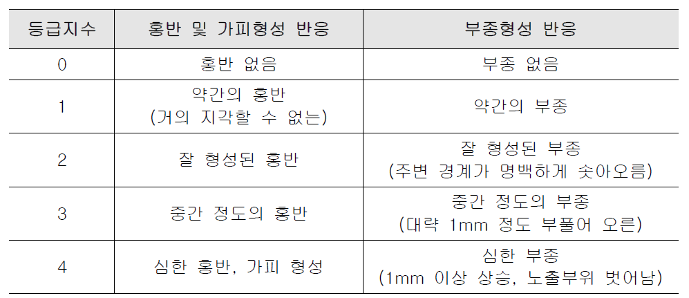 P.I.I.(Primary Irritation Index)에 의한 자극 반응 범주