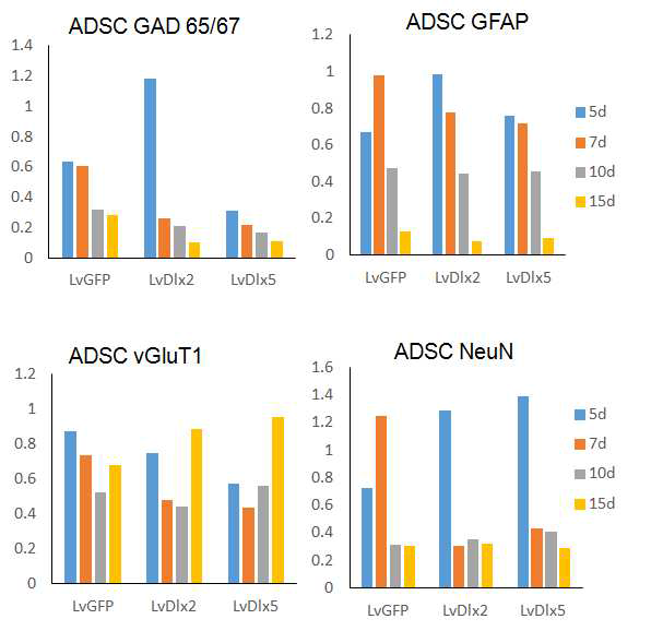 ADSC에서 Dlx2, Dlx5 Lentivirus를 전달한 후 신경세포 표지자 발현을 각 control에 비교하여 5, 7, 10, 15일에 normalize한 그래프
