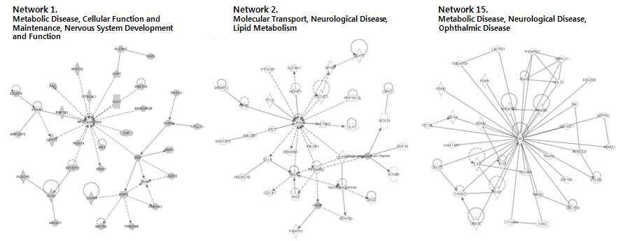 miR-124-3p 표적 유전자에 대한 대표 조절 네트워크
