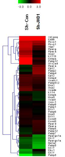 Differential expression of genes by JHD1 knock-down