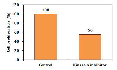 Effect of Kinase A