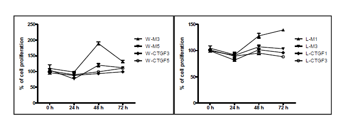 The effect of CTGF on cell proliferation in WI-38 and LX2 stable transfectant.
