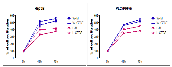 노화 세포주(W-CTGF와 L-CTGF)와의 co-culture가 간암세포의 세포 증식에 미치는 영향.