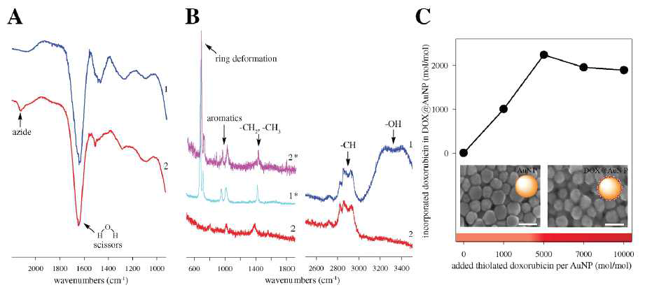 DOX/azide@AuNP 특성화.