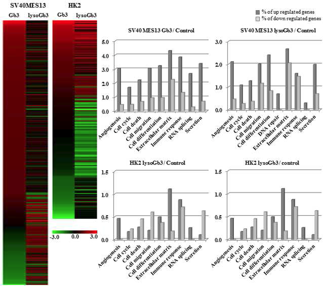 Hierarchical clustering analysis와 Gene Ontology 분석