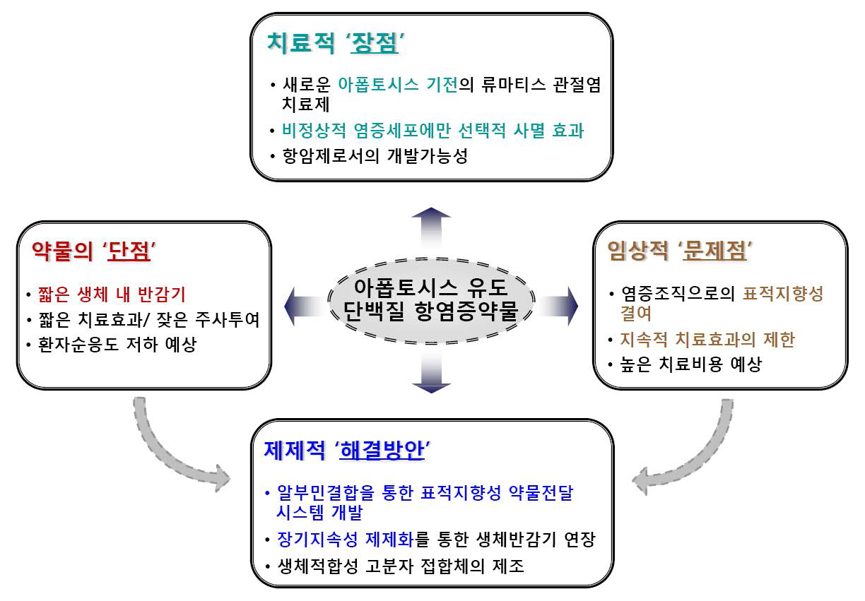 아폽토시스 유도 단ㄴ밸질 항염증 약물의 장단점 및 문제점과 해결방안