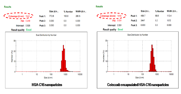 HSA-C16 나노입자와 약물을 봉입한 나노입자의 크기 비교