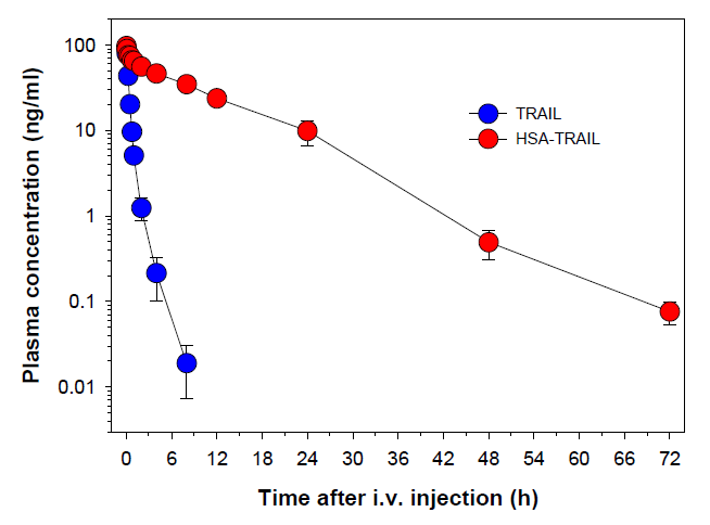 TRAIL과 HSA-TRAIL 접합체의 시간에 따른 혈중 농도 변화