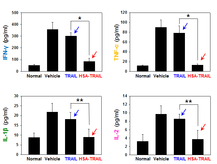 Normal, non-treated, TRAIL, 및 나노접합체 (30 μg/mouse)를 투약한 쥐의 혈중 cytokine 농도