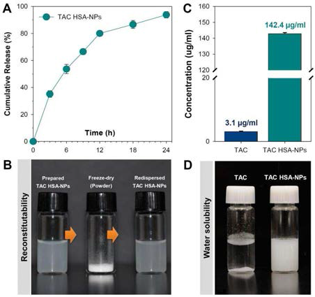 나노입자의 TAC 방출과 용해도 및 재현성