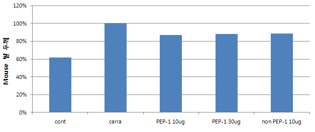 마우스 paw에 carrageenan에 의한 관절염 유도후에 PEP-1-FK506BP에 의한 edema 억제 확인