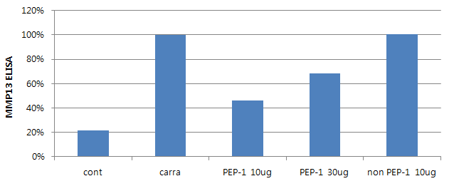 PEP-1-FK506BP에 의한 carrageenan-induced MMP13 발현의 억제