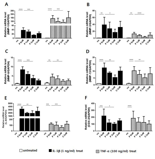 PEP-1-FK506BP의 연골세포에서 IL-1β- 또는 TNF-α-가 유도하는 MMP-1, -3, -13 mRNA 발현에 대한 영향