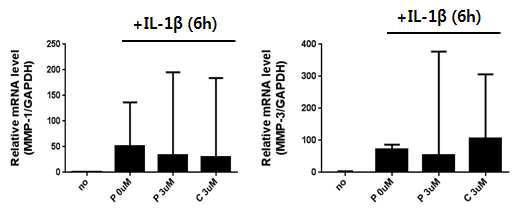 Tat-CIAPIN1에 의한 SW1353 세포에서 IL-1β에 의한 MMP 배출에 대한 영향 분석