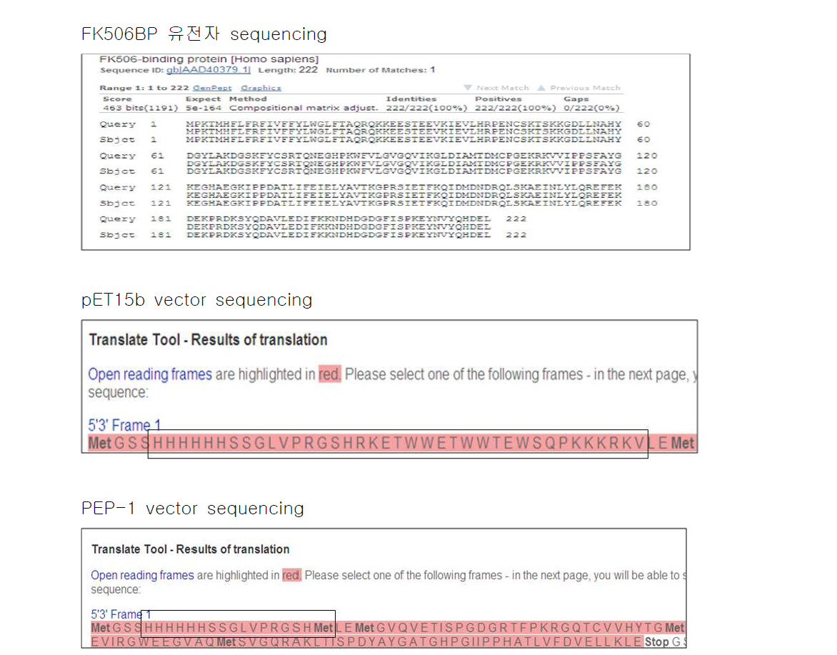 sequencing 확인 tool을 이용하여 다음과 같이 FK506BP insert, pET15b vector, PEP-1 vector 서열 모두 확인