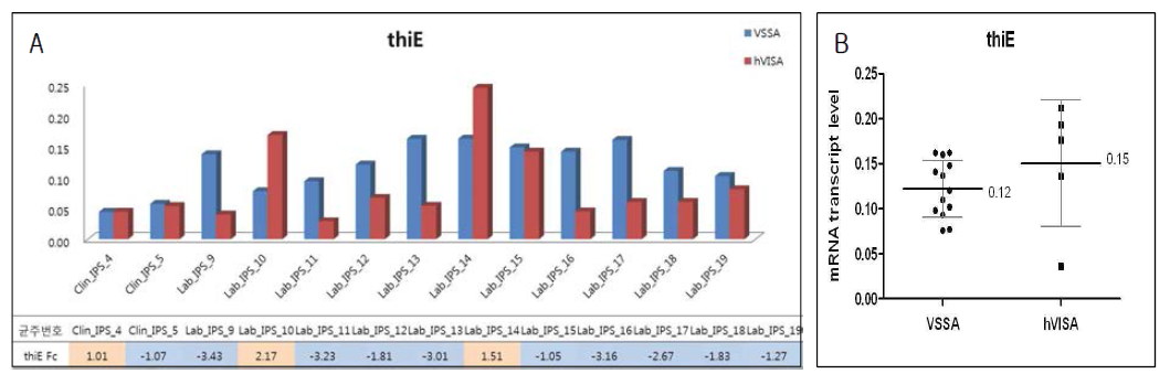 ST72 그룹에서 thiE 유전자의 mRNA transcript level.