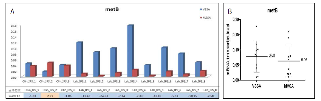 ST5 그룹에서 metB 유전자의 mRNA transcript level