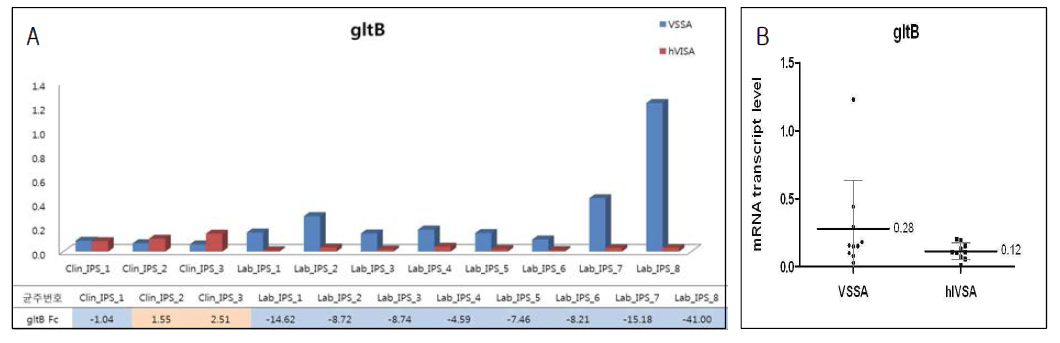 ST5 그룹에서 gltB 유전자의 mRNA transcript level