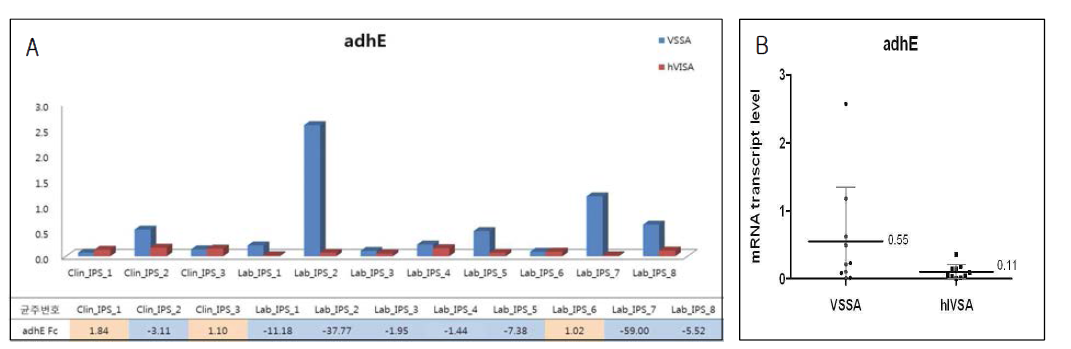 ST5 그룹에서 adhE 유전자의 mRNA transcript level.