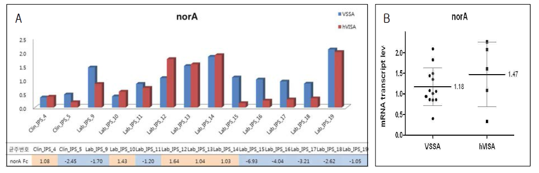 ST72 그룹에서 norA 유전자의 mRNA transcript level.