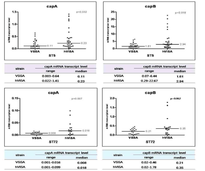 임상균주들을 이용한 capA와 capB 유전자의 transcript level 비교