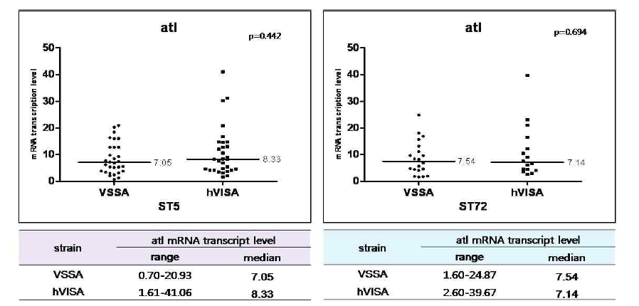 임상균주들을 이용한 atl 유전자의 transcript level 비교