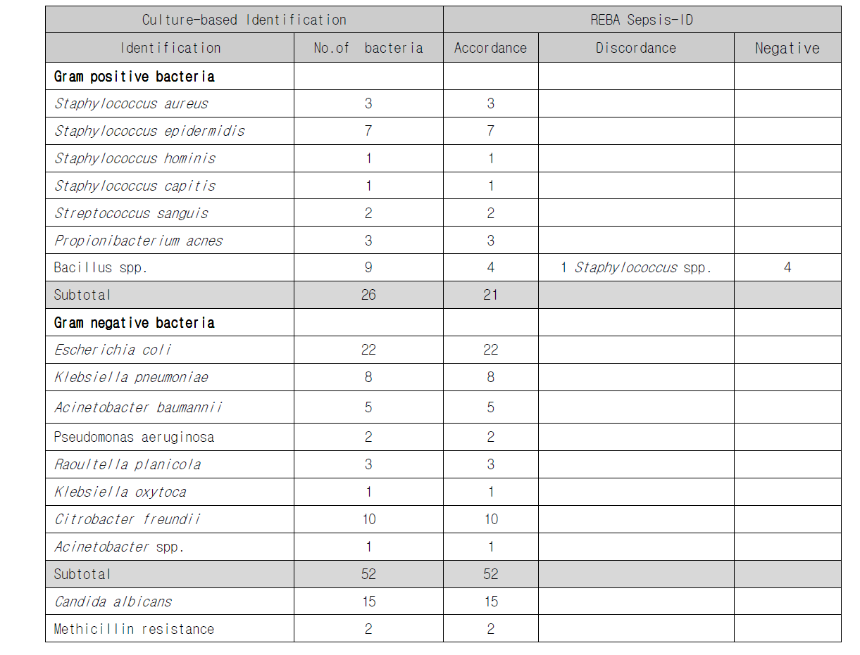 칠곡경북대학병원 100건의 혈액배양 양성액에서 전통적 배양과 REBA 검사의 결과 비교
