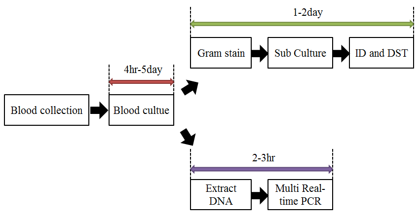 Multiplex Real-time PCR 방법과 기존의 배양을 기초로 한 방법의 작업 흐름