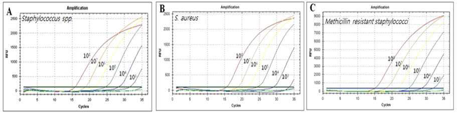 표준균주를 이용한 methicillin 내성균 스크리닝 Real-time PCR