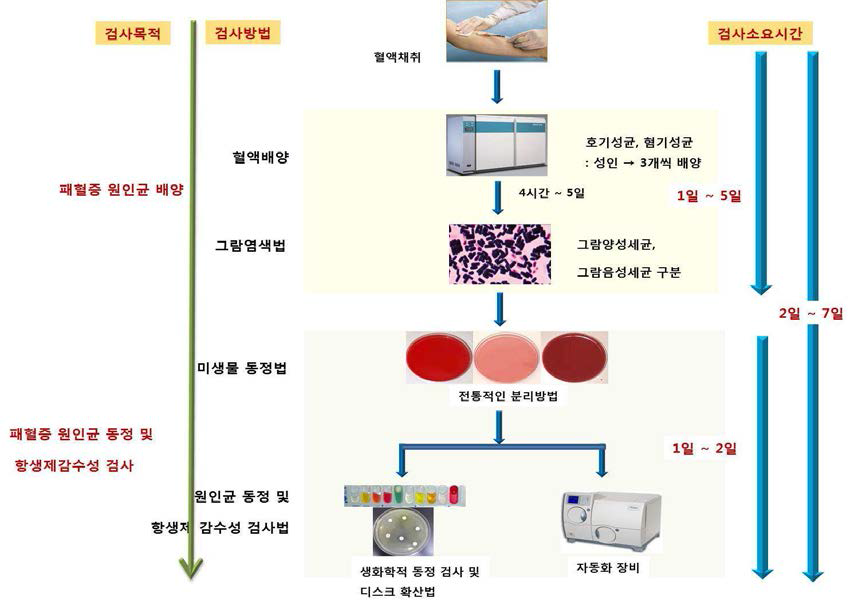 REBA를 이용한 신개념 패혈증 진단 키트의 요약도