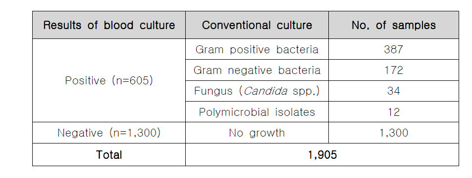확보한 혈액배양 양성 및 음성액에서 전통적 배양 검사 결과