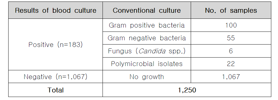 확보한 혈액배양 양성 및 음성액에서 전통적 배양 검사 결과