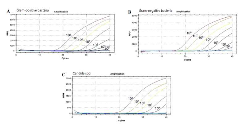 표준균주를 이용한 패혈증 원인균 스크리닝 Real-time PCR법 실시 예