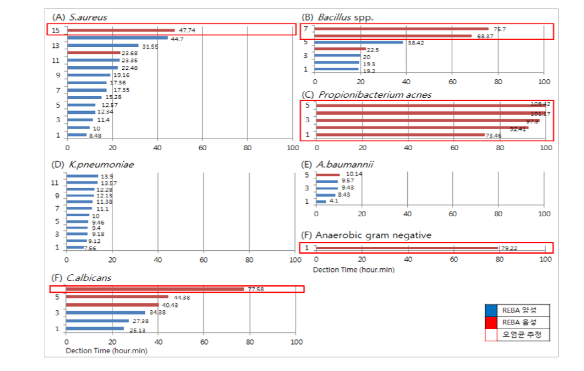 혈액배양 검출 시간과 REBA결과의 비교 실시 예