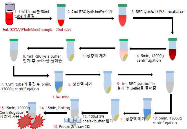 13,000 xg, 10분 원심분리 후 세포 침전물로부터 원인균 genomic DNA를 추출하는 방법