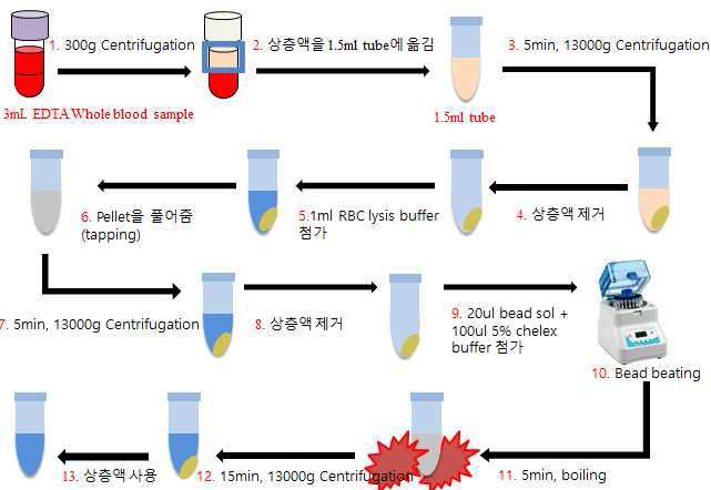 300 xg, 10분 원심분리 후 형성된 상층액으로부터 원인균 genomic DNA를 추출하는 법