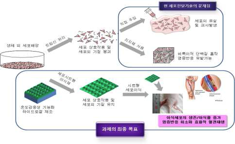 과제 최종 목표 달성 모식도