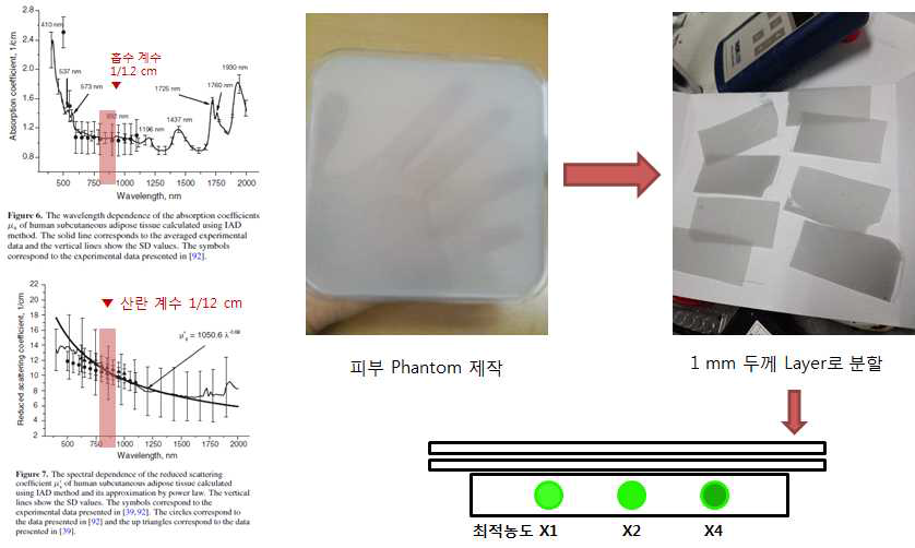 흡수 계수와 산란 계수를 고려한 광학 Phatom 제작 모습 및 레이어 분할 모습