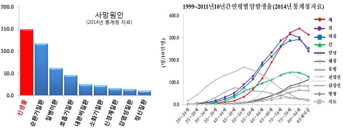 암의 역학