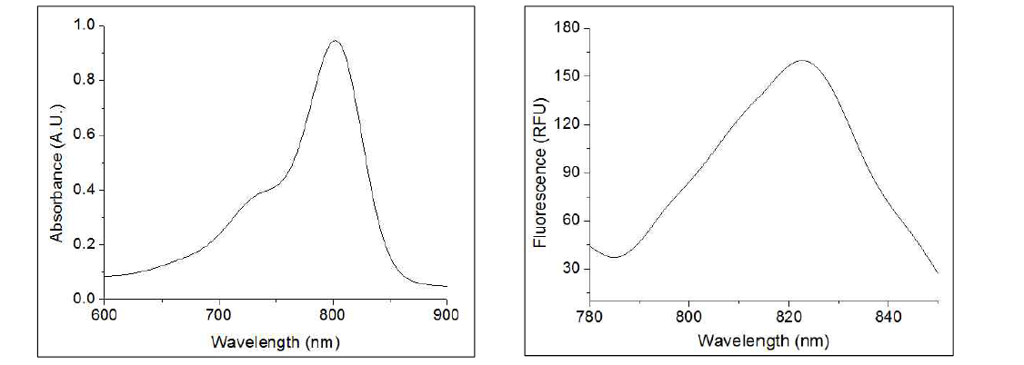 ICG 리포좀의 흡광스펙트럼(좌)와 형광스펙트럼(우)