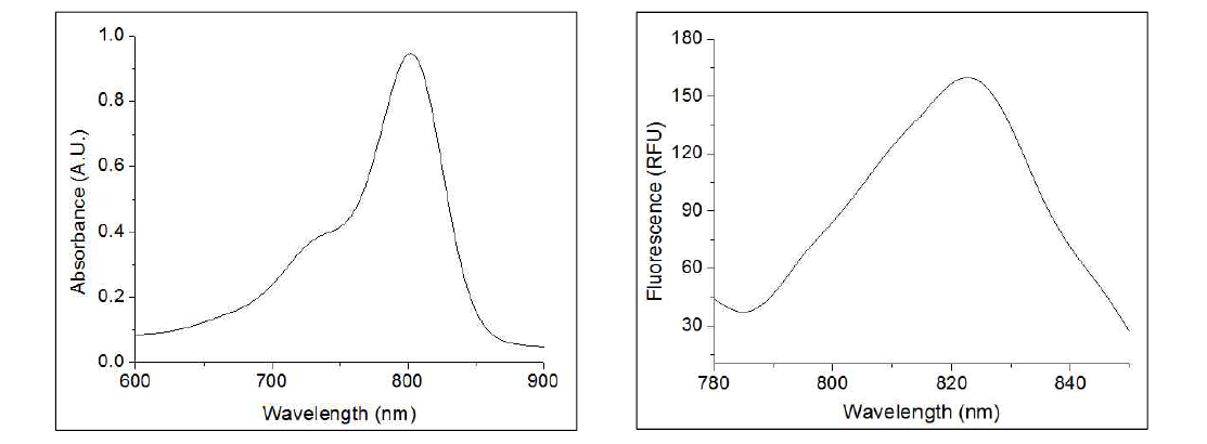 ICG 리포좀의 흡광스펙트럼(좌)와 형광스펙트럼(우)