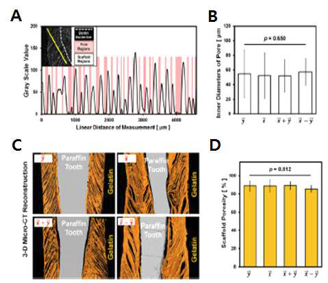 Pore의 직경이 그룹별 차이가 없음을 보였을 뿐만 아니라 90% 내외의 porosity를 모든 scaffold에서 가지고 있음을 보임