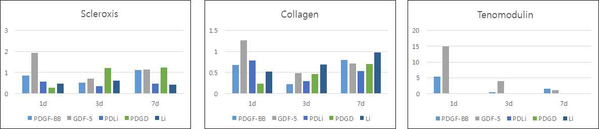 치주인대세포에서 다양한 생체활성인자들에 의한 Scleroxis, Collagne, Tenomodulin RNA 발현량 비교