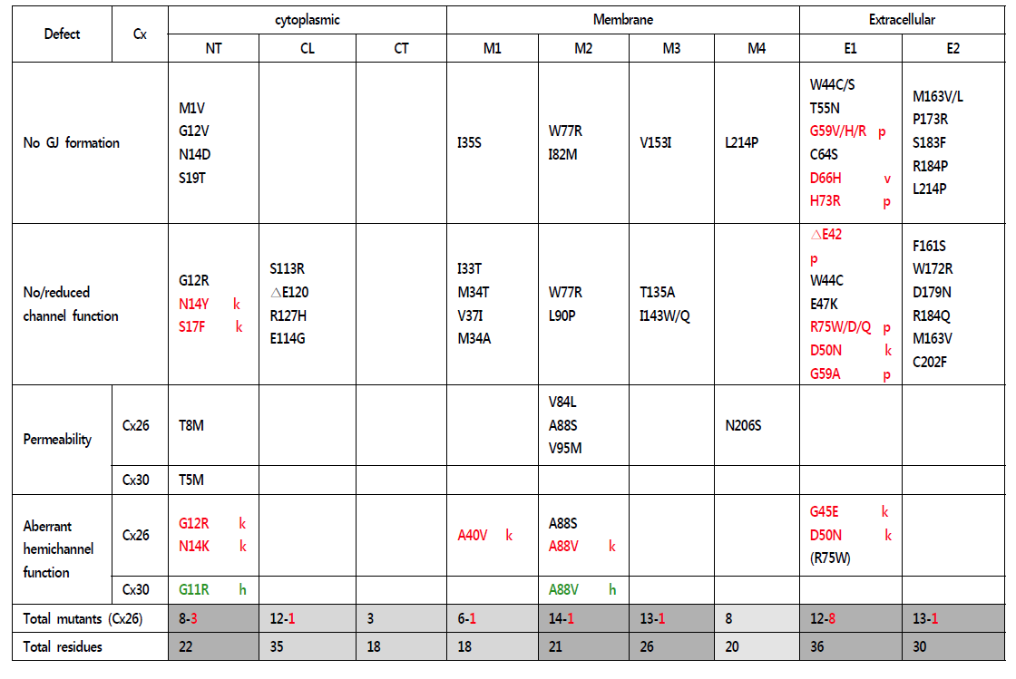 코넥신 단백질의 구조적 기능적 이상을 일으키는 변이의 종류